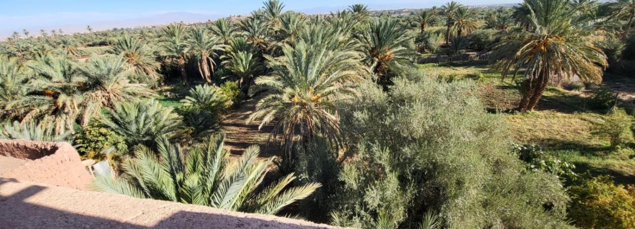 Cinema Riad Tajda Dış mekan fotoğraf