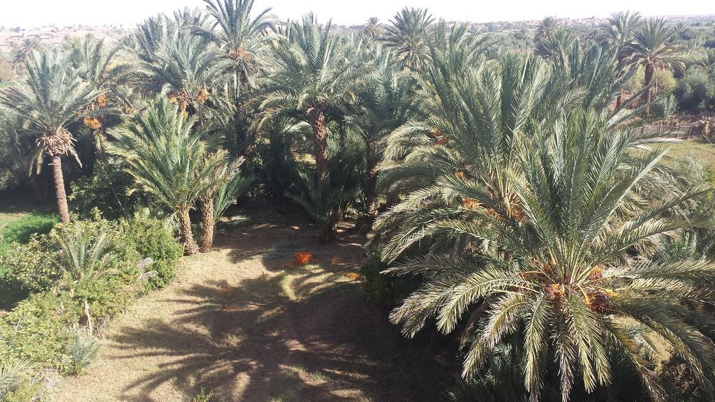 Cinema Riad Tajda Dış mekan fotoğraf