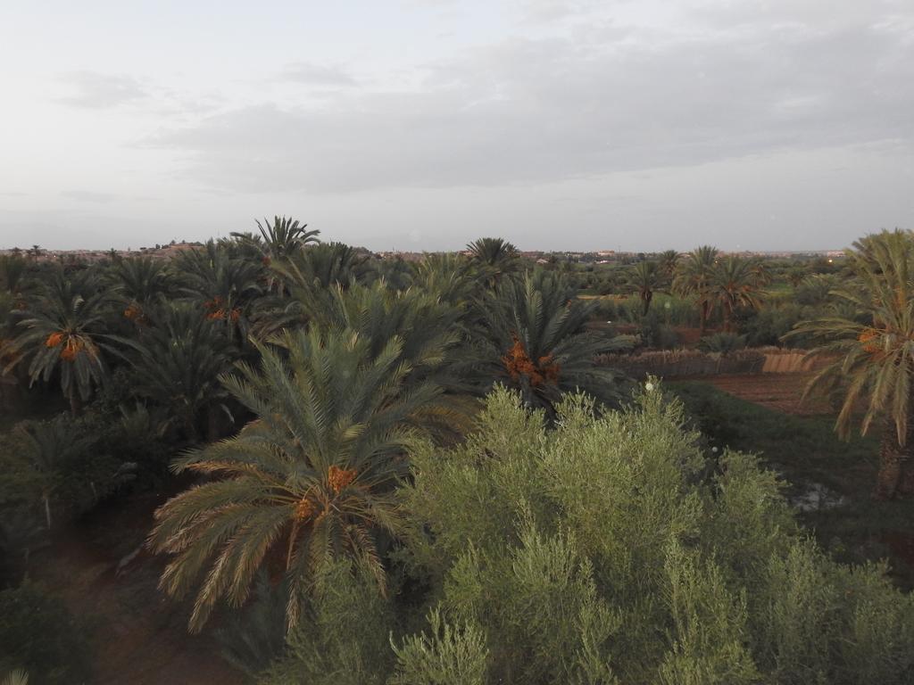 Cinema Riad Tajda Dış mekan fotoğraf